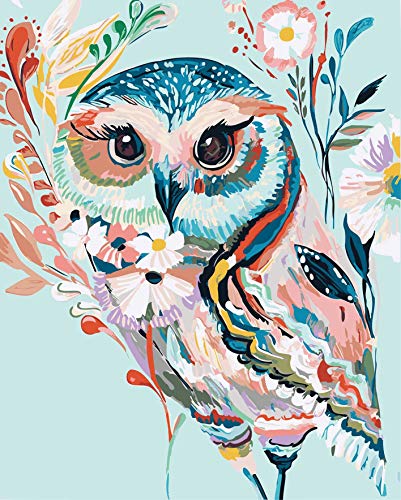 Product Cover DoMyArt Acrylic Paint by Number Kit On Canvas for Adults Beginner - Rainbow Owl 16X20 Inch