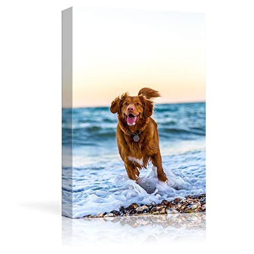 Product Cover NWT Custom Canvas Prints with Your Photos for Pet/Animal, Personalized Canvas Pictures for Wall to Print Framed 10x8 inches