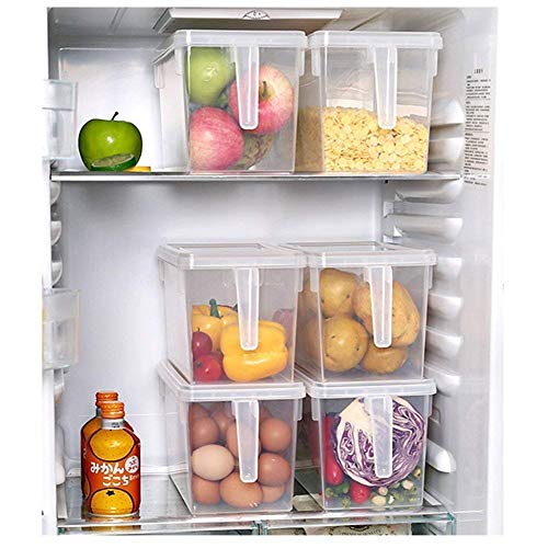Product Cover Flyngo Crisper Box for Fridge Kitchen and Refrigerator Food Storage Container - Transparent Plastic (1 Pcs)