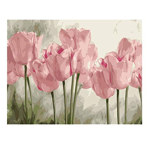 Product Cover DIY Paint by Numbers for Adults Kids Tulip Paint by Numbers DIY Painting Acrylic Paint by Numbers Painting Kit Home Wall Living Room Bedroom Decoration Pink Tulips