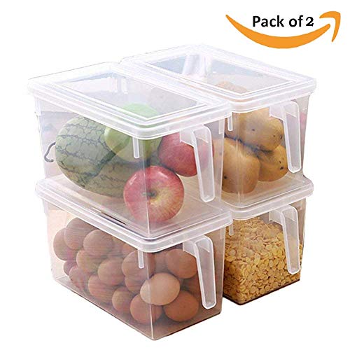 Product Cover Flyngo Plastic Transparent Storage Bin Box Egg, Fish, Meat, Fruits and Vegitable Container with Handle for Kitchen Refrigerator and Microwave (Set of 2)