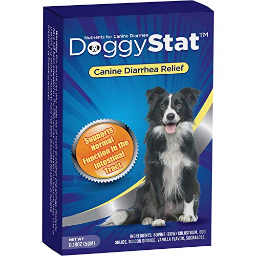 Product Cover DoggyStat Dog Diarrhea Treatment - Anti-Diarrhea Supplement for Dogs (5 Grams), All Natural, Stops Diarrhea & Upset Stomach, Firms Stool, Veterinarian Tested, More Effective Than Dog Probiotics