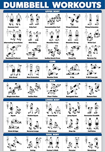 Product Cover Palace Learning Dumbbell Workout Exercise Poster - Free Weight Body Building Guide | Home Gym Chart | Laminated, 18