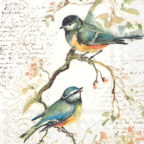 Product Cover Boston International C811100 IHR Cocktail Beverage Paper Napkins, 5 x 5-Inches, Happy Little Titmice