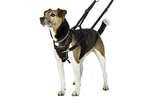 Product Cover Halti Dog Harness, No Pull Harness for Small Dogs, Stop Dog Pulling on Walks with Halti Dog Harnesses, for Small Dogs