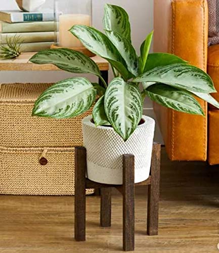 Product Cover Red Wood Sheesham Wood Flower Plant Stand- Walnut Brown
