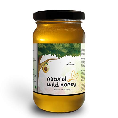 Product Cover Hi Honey Raw Organic Wild Honey by Saurashtra Honey Bee Farm| an Ayurvedic Remedy for Weight Loss, Cough and Digestive Problems (530gm) - Glass Jar (Raw Forest Honey) (Pack of 1)