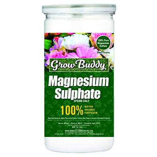 Product Cover GROWBUDDY Magnesium Sulphate (Epsom Salt) for Plant Growth,800g