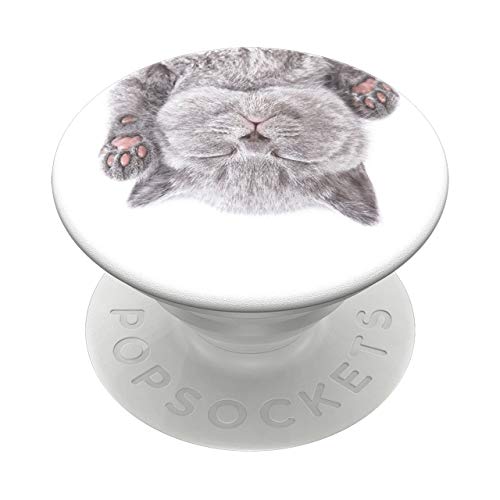 Product Cover PopSockets: PopGrip with Swappable Top for Phones & Tablets - Cat Nap