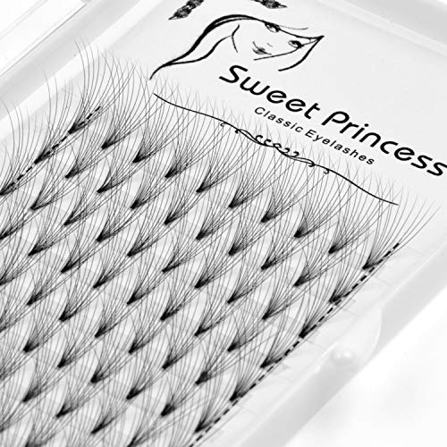 Product Cover 12rows，120pcs 10D Premade Volume Fans Eye Lashes Extensions Thickness 0.07mm D Curl Black Soft Individual False Eyelashes Makeup Fake Lashes Cluster 8-16mm to Choose (13MM)