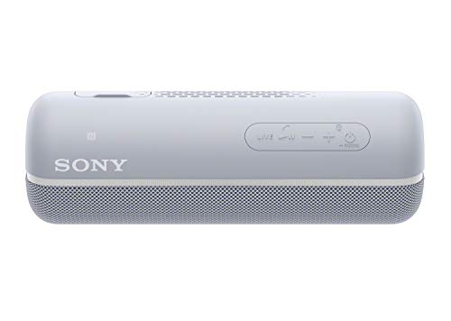 Product Cover Sony SRS-XB22 Extra Bass Portable Bluetooth Speaker, Gray (SRSXB22/H)