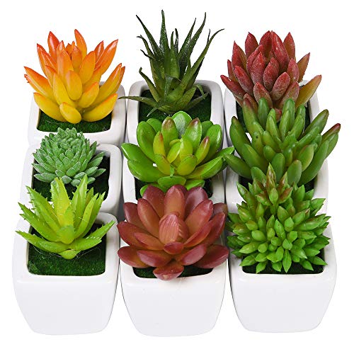 Product Cover CHICHIC Set of 9 Mini Assorted Artificial Succulent Plants, Decorative Faux Succulents, Small Fake Plants for Decoration, Potted Fake Succulents with Ceramic Pots, Fake Aloe Cactus Cacti with Planters
