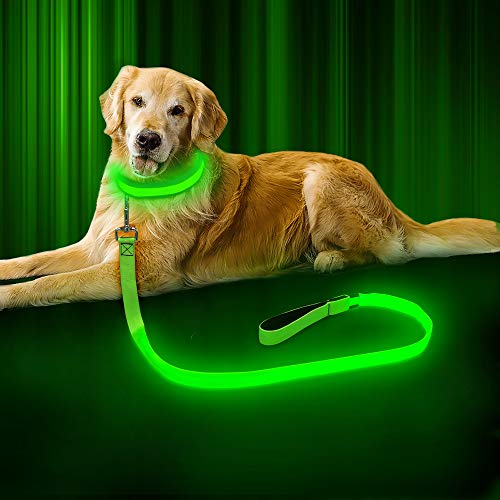 Product Cover BSEEN LED Dog Leash - USB Rechargeable 47.2 inch 120 cm Night Safety Pet Leash LED Strip to Keep You and Your Dog Safe (Fluorescent Green)