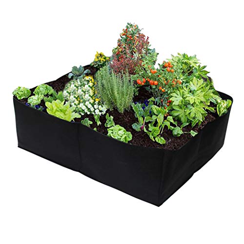 Product Cover Gardzen 2 Pack Divided Raised Vegetable Bed, Square Foot Gardening 2Feet x 2Feet - Having Your Own Garden