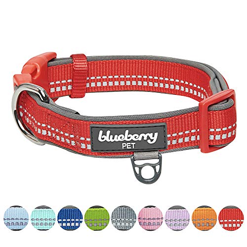 Product Cover Blueberry Pet 2019 New 9 Colors Soft & Safe 3M Reflective Neoprene Padded Adjustable Dog Collar - Red Pastel Color, Medium, Neck 14.5