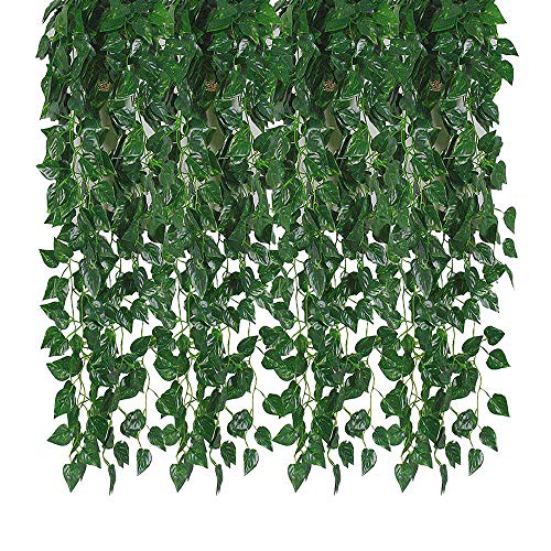 Product Cover Kalolary 78 Ft 12 Strands Artificial Ivy Garland Leaf Vines Plants Greenery, Hanging Fake Plants, for Wedding Backdrop Arch Wall Jungle Party Table Office Decor (Scindapsus)
