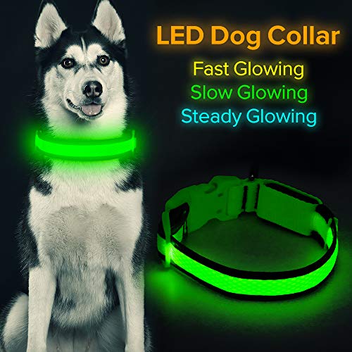 Product Cover HiGuard LED Dog Collar, USB Rechargeable Glowing Pet Collar Night Safety LED Light Up with Nylon Webbing Perfect for Small, Medium, Large Dogs (Medium Collar[14