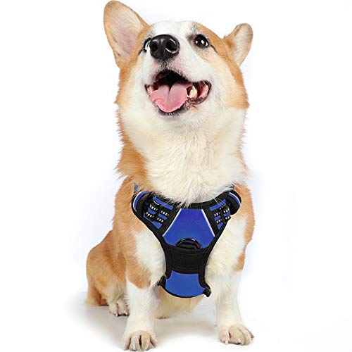 Product Cover rabbitgoo No Pull Dog Harness with Handle Adjustable Dog Padded Harness Reflective Pet Vest Harness for Outdoor Activities (Blue, M)