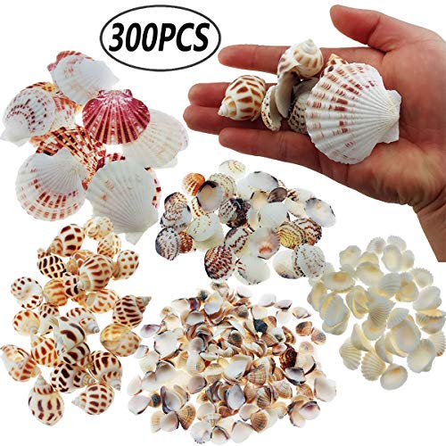 Product Cover Sea Shells Mixed Beach Seashells, Colorful Natural Seashells Perfect Accents for Candle Making，Home Decorations, Beach Theme Party Wedding Decor, DIY Crafts, Fish Tank and Vase Fillers (Style 2)