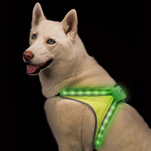 Product Cover Blazin' Safety LED Dog Harness | 8 Colors Plus 6 Flashing Modes Reflective Light Vest | USB Rechargeable, Rainproof, Lightweight, Adjustable Sizing, Up to 15 Hour Runtime (Medium)