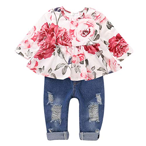 Product Cover CARETOO Girls Clothes Outfits, Cute Baby Girl Floral Long Sleeve Pant Set Flower Ruffle Top Pink