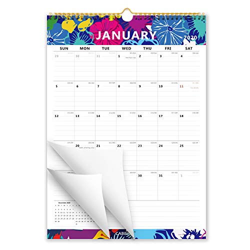 Product Cover Cabbrix 2020 Monthly Wall Calendar, 17 x 12 Inches, Wirebound, Ruled Blocks, 2020 Calendar Perfect for Home or Office