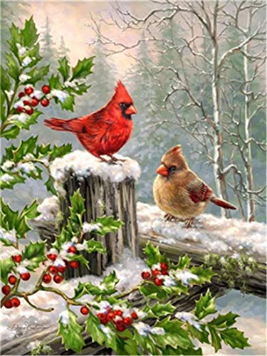Product Cover DIY Oil Painting Paint by Numbers Kits for Adult Paint Color According to The Numbers on The Canvas 16x20 inch - Two Cardinals in The Snow, Drawing with Brushes Christmas Decor (Without Frame)