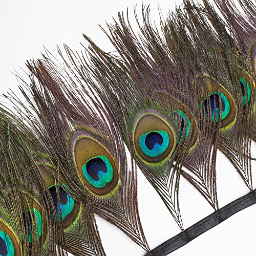 Product Cover wanjin Peacock Feathers Fringe Trim Craft Feathers Clothing Accessories Pack of 1 Yards