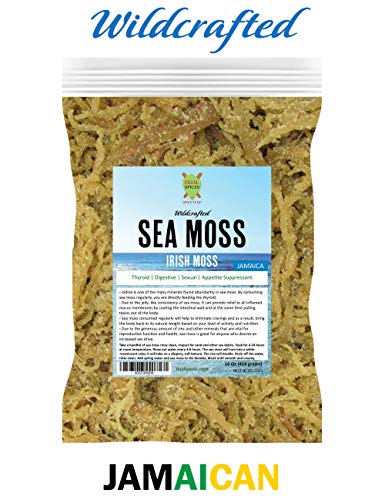 Product Cover DualSpices Irish Sea Moss 16 Oz, 100% Wildcrafted Wild Sea Harvested NO Chemicals Or Preservatives, Harvested from The Protected Carribean Sea Directly from Jamaica - Non-GMO, Vegan, Superfood