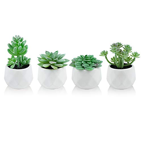 Product Cover Dream Allison Artificial Plants Desk Fake Succulents Indoor Decor Office Room Decoration Small Tiny Realistic Plants in White Ceramic Potted (Green, 4 Pots)