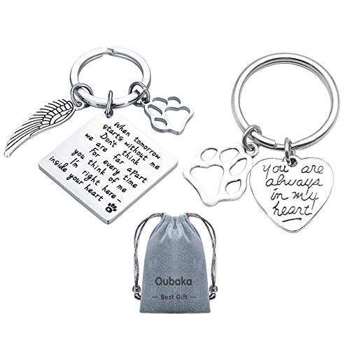 Product Cover Pet Memorial Keychain,Engraving Lettering When Tomorrow Starts Without me Remembrance Angel Keychain Memorial Keychain Sympathy Gift for Him/Her