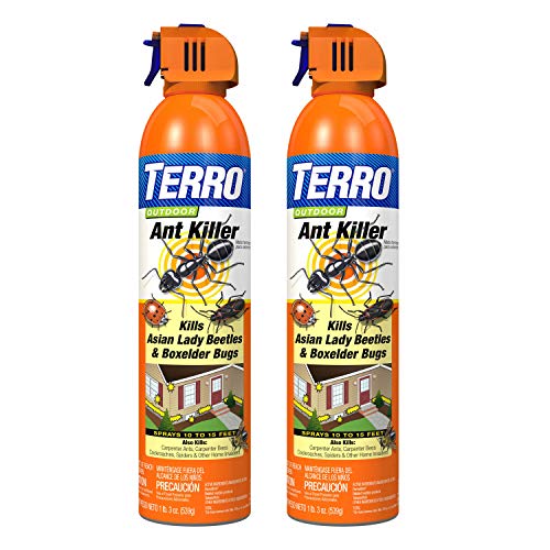 Product Cover Terro T1700SR 19 oz Outdoor Ant Killer Spray-2 Pack, White