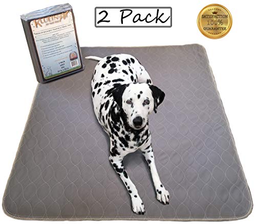 Product Cover Kluein Pet Reusable Washable Pee Pads, Grey 2-Pack XXL 36x41 Puppy Training Pads, Whelping, Playpen Mat, Travel Pad, Waterproof Barrier