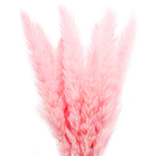 Product Cover Color Life 55 Pcs Dried Pampas Grass,Phragmites Communis,Wedding Flower Bunch, for Home Decor,24