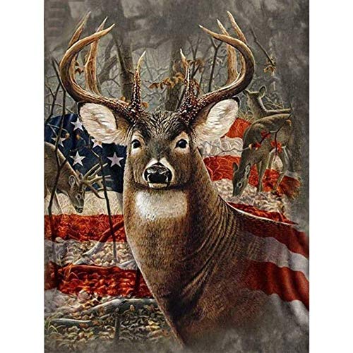 Product Cover CANDYL DIY Oil Painting Paint by Number Kit for Kids Adults Students Beginner Deer DIY Canvas Painting by Numbers Arts Craft for Home Wall Decoration Paint by Number Deer Pictures 16x20 Inch