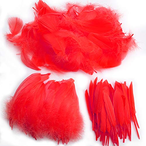 Product Cover Feather for Crafts,250 Pcs Coloured Feather Striking Feathers for DIY Dream Catchers Natural Crafts Feathers for Wedding/Party/Decorations(3 Sizes) (Red)