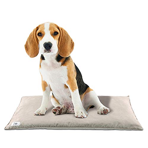 Product Cover Dog Bed Mats,Pet Pee Pads,Soft Crate Mats with Anti-Slip Bottom,Self Odor Eliminating,Absorbent,Waterproof,Reusable,Machine Washable,Protect Floor Clean Pet Mattress for Dog Sleeping(M)
