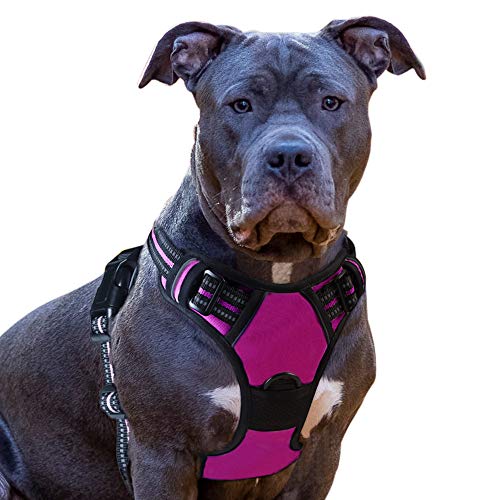 Product Cover Eagloo Dog Harness No Pull, Walking Pet Harness with 2 Metal Rings and Handle Adjustable Reflective Breathable Oxford Soft Vest Easy Control Front Clip Harness Outdoor for Large Dogs Rose Red