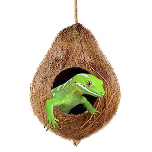Product Cover Crested Gecko Coco Hut --- Treat & Food Dispenser - Sturdy Hanging Home, Climbing Porch - Hiding, Sleeping & Breeding Pad - 4.5