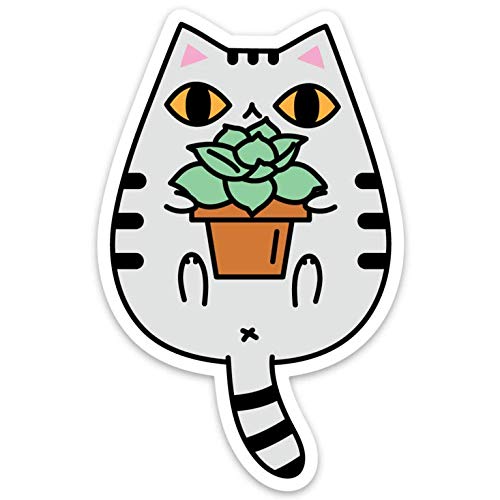 Product Cover Tabby Cat with Succulent Plant Vinyl Sticker