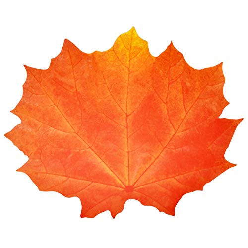 Product Cover Gift Boutique Paper Harvest Leaf Placemats 36 Pack Orange Color Thanksgiving Autumn Maple Leaves Shaped Chargers Place Mats 12