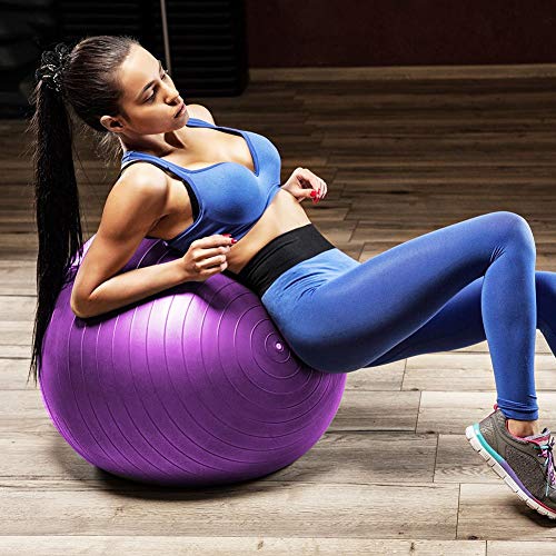 Product Cover HiHiLL Exercise Ball Yoga Ball 65 cm Anti-Burst & Anti-Slip Balance Workout Ball Chair for Stability Fitness Pilates with Hand Pump