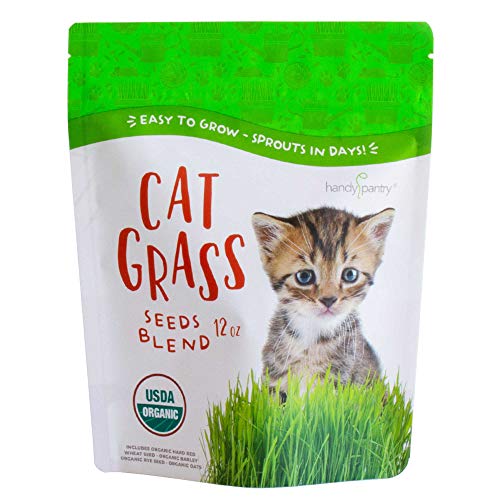 Product Cover Handy Pantry Organic Cat Grass Seed Blend for Planting | A Healthy Mix of Organic Wheat, Barley, Oats, and Rye (12 oz.)