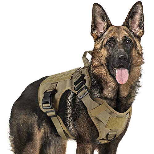 Product Cover rabbitgoo Tactical Dog Harness Vest Large with Handle, Military Dog Harness Working Dog Vest with MOLLE & Loop Panels, No-Pull Adjustable Training Vest with Metal Buckles & Leash Clips for Walking