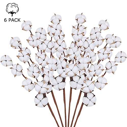 Product Cover The Wreath King Cotton Stems 6 Pack with 11 Cotton Balls Per Stem 29 Inch Cotton Branches Farmhouse Decor Fall Decorations for Rustic Home, Office, Hotel, Floral Filler Wedding Centerpieces