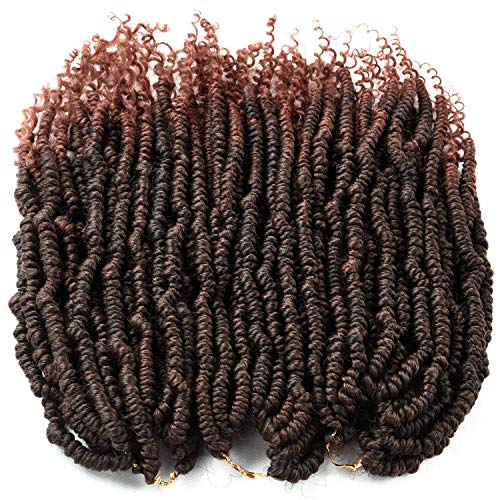 Product Cover 2 Packs Passion Spring Twists Synthetic Crochet Hair Extensions 12 inch 24 strands/pack Ombre Crochet Twist Braids Fiber Fluffy Curly Twist Braiding Hair Bulk (T1B/30#)...
