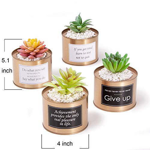 Product Cover BangBangDa Decorative Potted Faux Succulent - Artificial Succulents Plants in Planter - Fake Succulent in Pot for Home Office Tabletop Decoration Set of 4