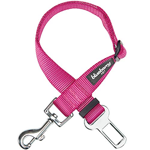Product Cover Blueberry Pet Essentials 19 Colors Classic Dog Seat Belt Tether for Dogs Cats, Very Berry, Durable Safety Car Vehicle Seatbelts Leads Use with Harness