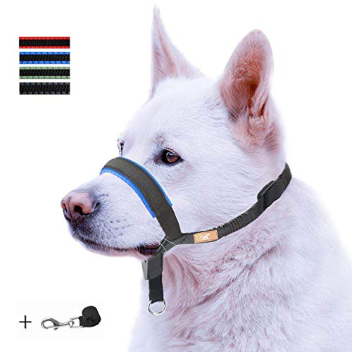 Product Cover wintchuk Dog Head Collar with Padded Leather, Head Harness Stops Dog Pulling, Head Leash (M, Blue)