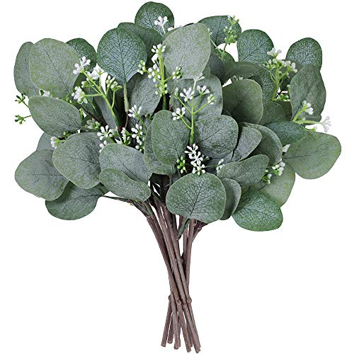 Product Cover Supla 10 Pcs Artificial Seeded Eucalyptus Leaves Stems Bulk Artificial Silver Dollar Eucalyptus Leaves Plant in Grey Green 11.8